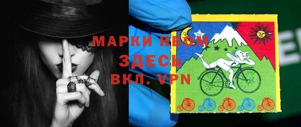 гашик Аркадак