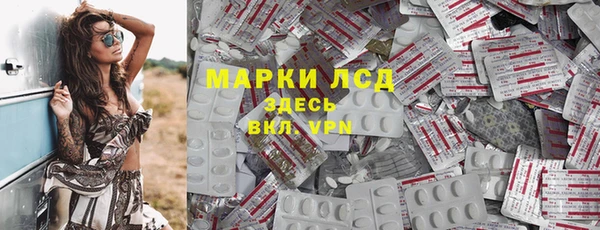 гашик Аркадак