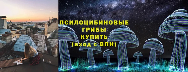 МДПВ Армянск