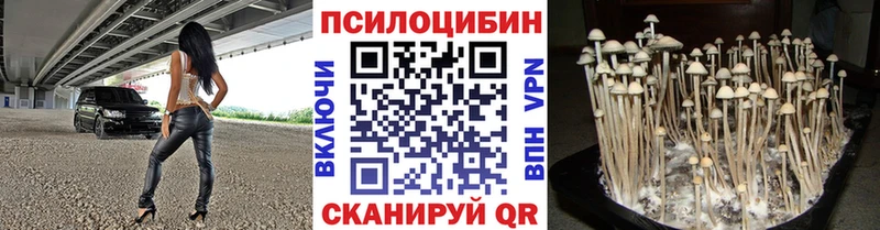 Галлюциногенные грибы Cubensis  цены   Себеж 